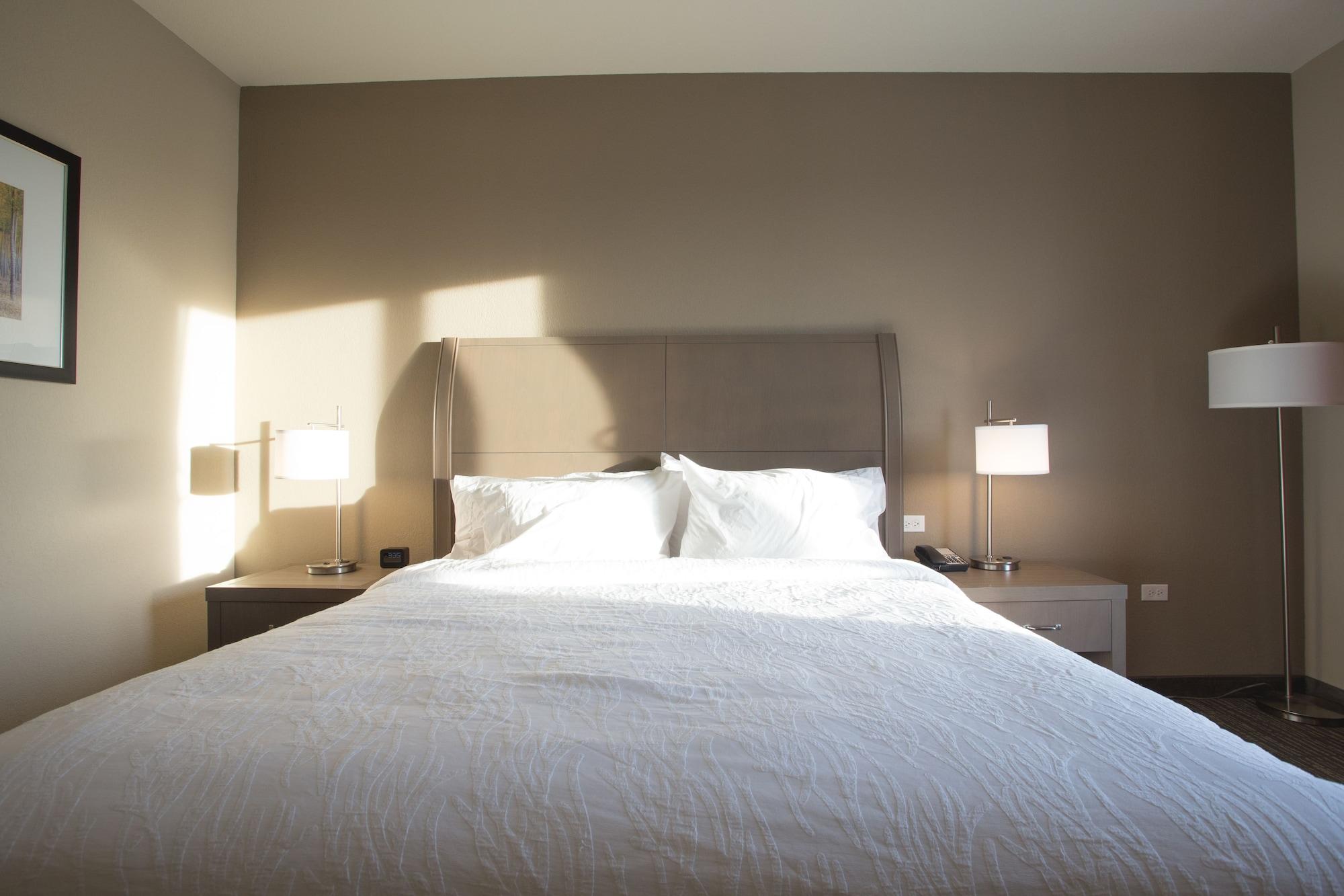 Hilton Garden Inn Bolingbrook I-55 Eksteriør billede