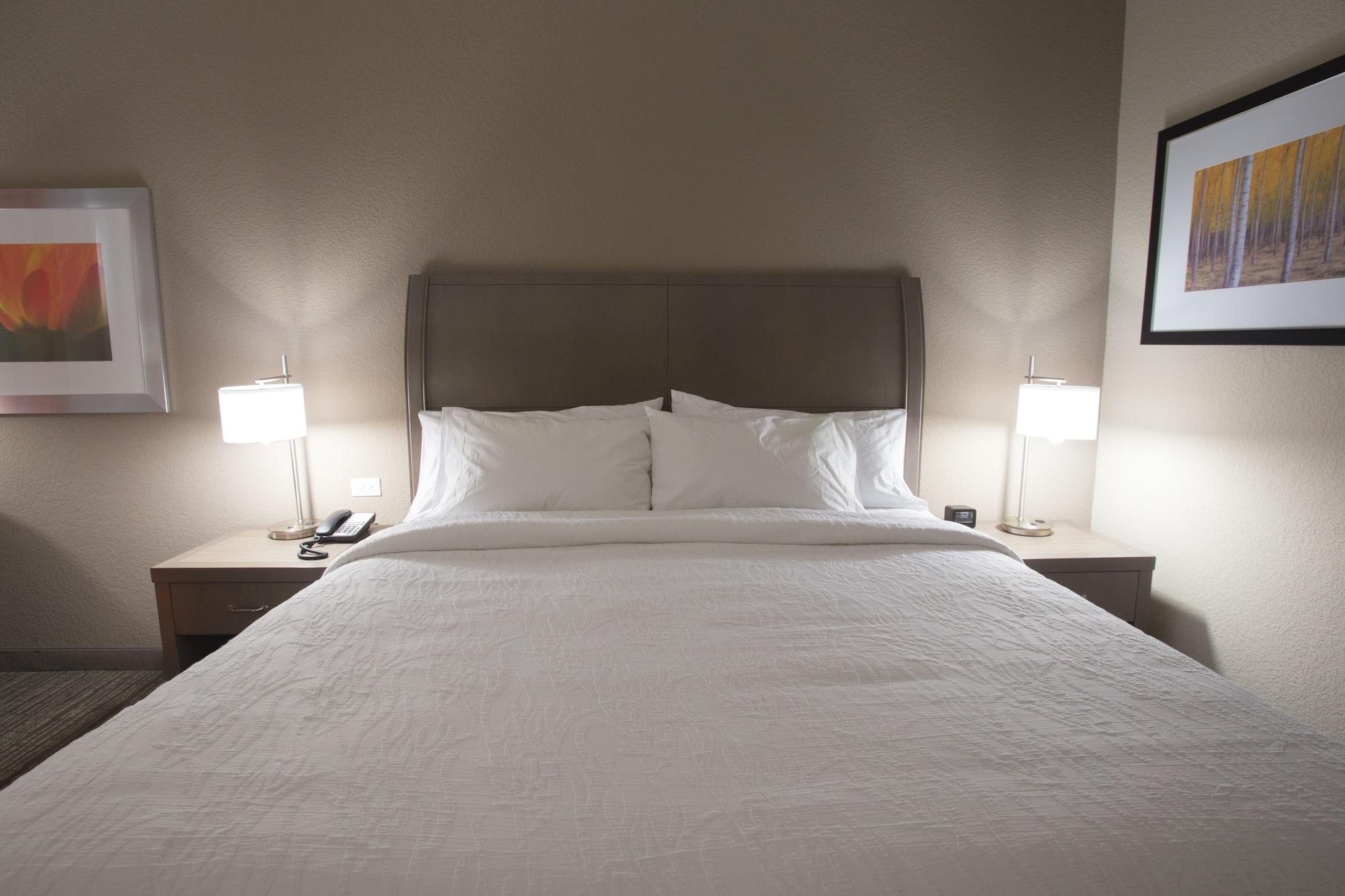 Hilton Garden Inn Bolingbrook I-55 Eksteriør billede