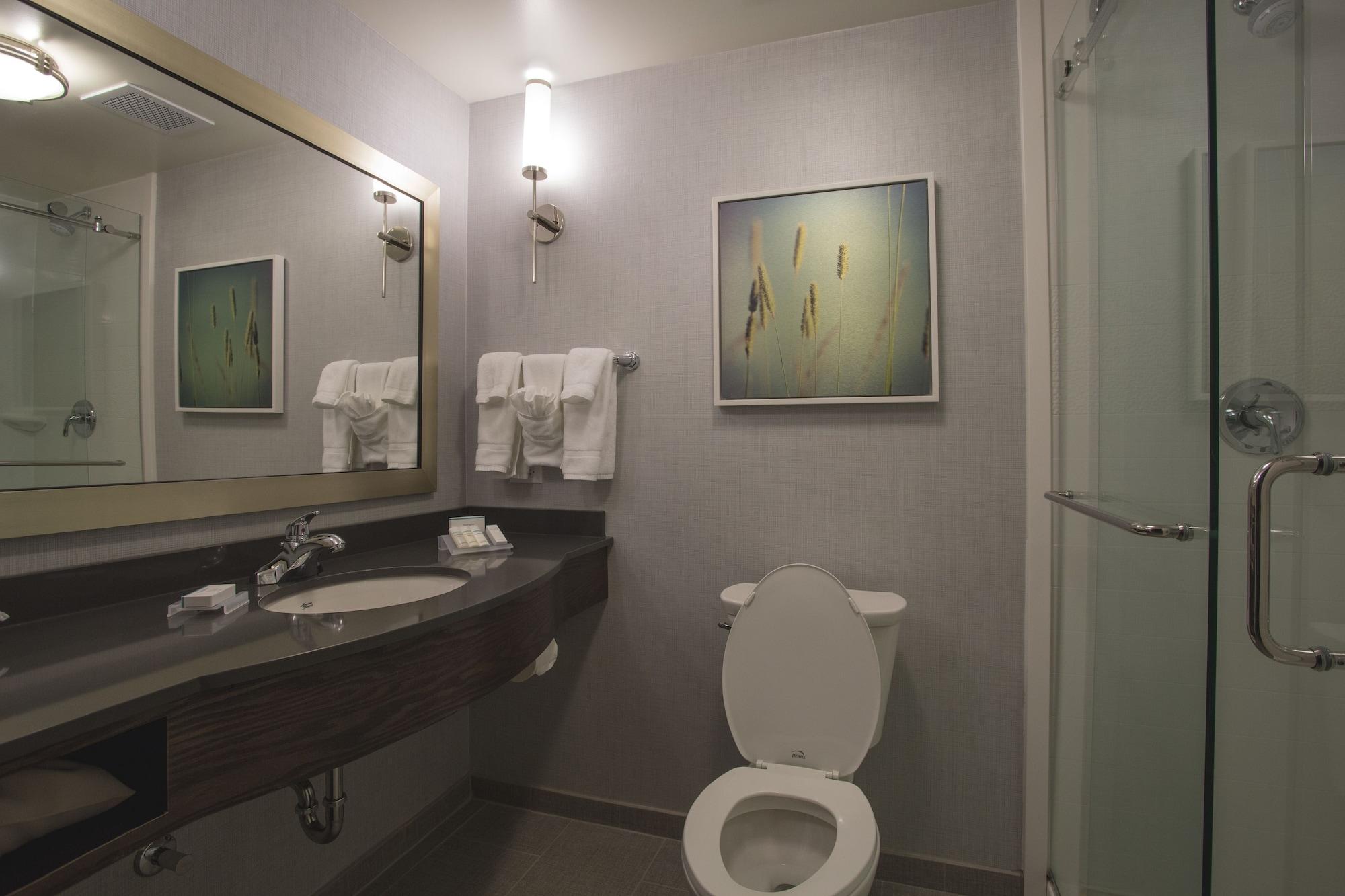 Hilton Garden Inn Bolingbrook I-55 Eksteriør billede